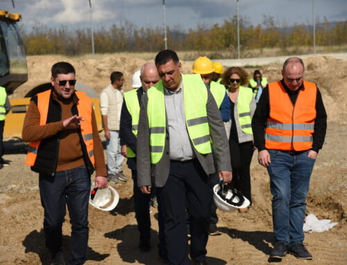 ხეილ გოგოლიძე თეთრიწყაროში, მარნეულსა და ბოლნისში ნარჩენების განთავსების ობიექტებზე არსებულ ვითარებას გაეცნო