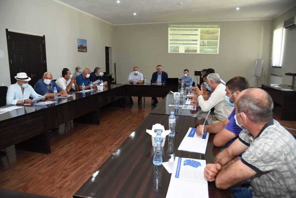 Public hearings were held in the Imereti region